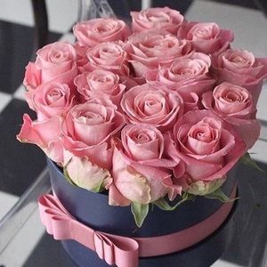 Meet your Posher, Kelly